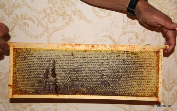 Miel en brèche