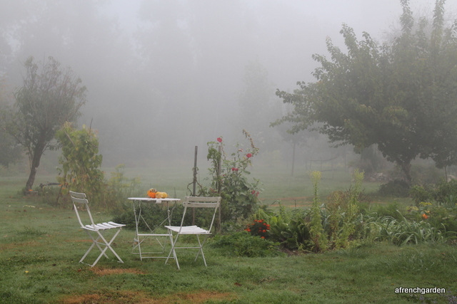 Misty chairs