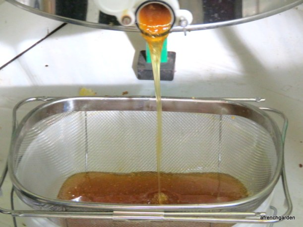Honey from the centrifuge