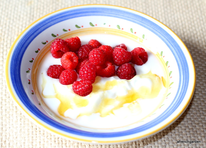 Yogurt desert with rasberries and honey