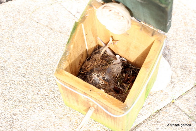 used bird box